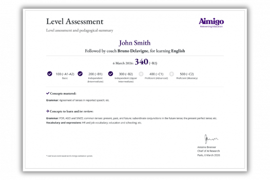 Aimigo Coach EN diploma